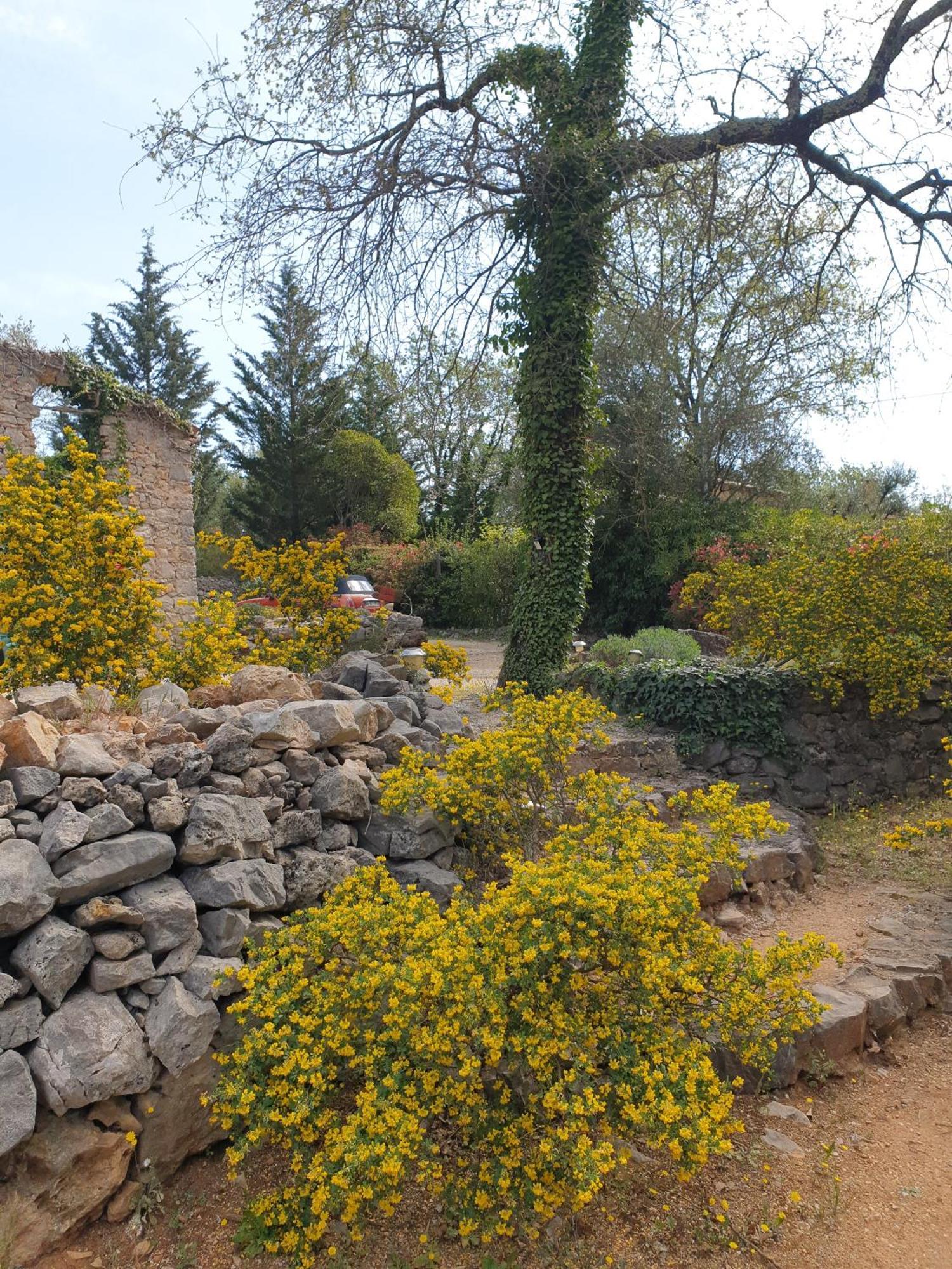 B&B L'Albatros Fayence Exterior foto